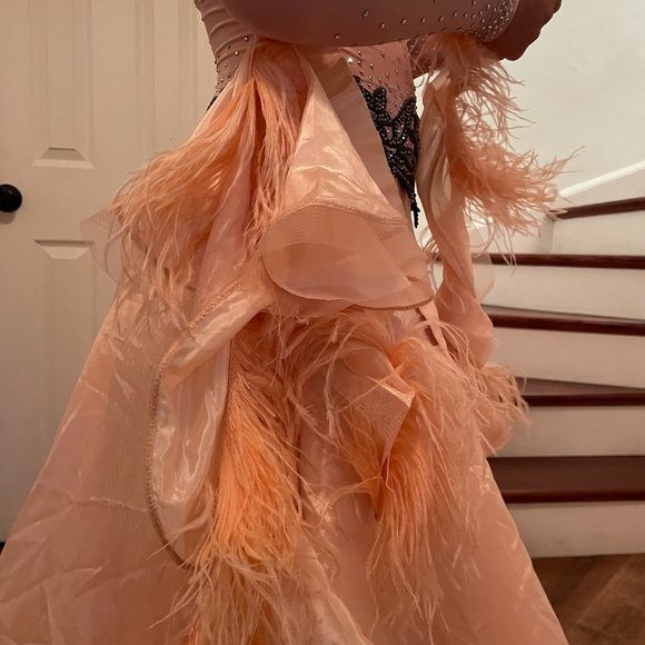 Competition Standard Dress - pre-owned - Picture 6 of 11